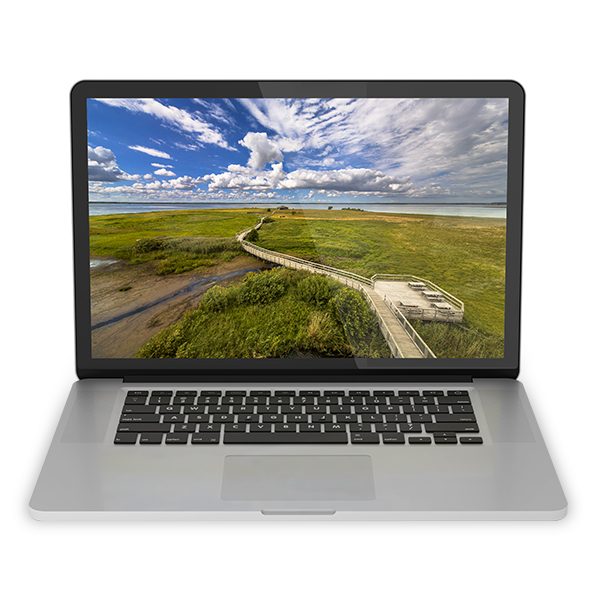 Dell Latitude 3500 15" Core i5 1.6 GHz - SSD 256 Go - 8 Go AZERTY - Français